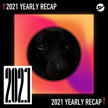 2021 个人年度精选之最