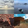 张震岳