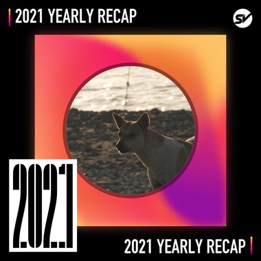 2021 个人年度精选之最