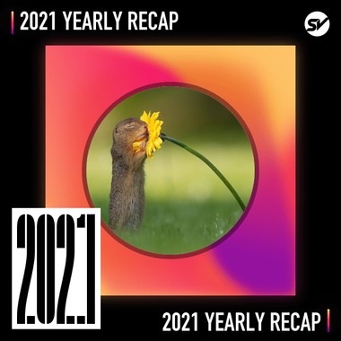 2021 个人年度精选之最