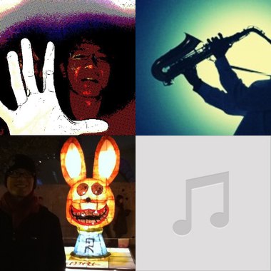 韦鸟