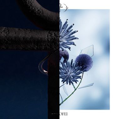 叶少菲
