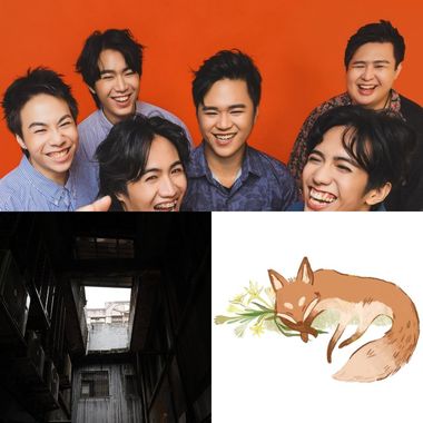 杂杂