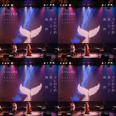 cicada live