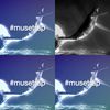 #musetrap