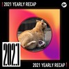 2021 个人年度精选之最