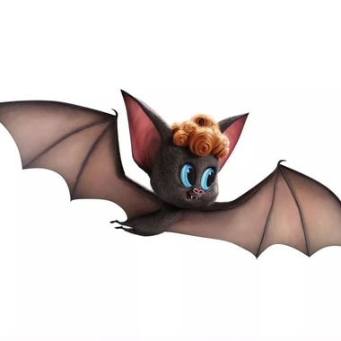 ʕ´• ᴥ•̥`ʔ