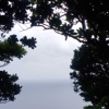 抒发⛈️