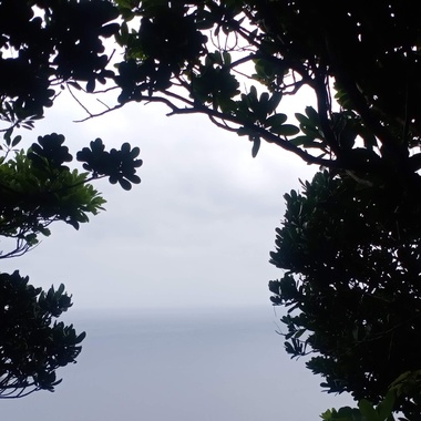 抒发⛈️