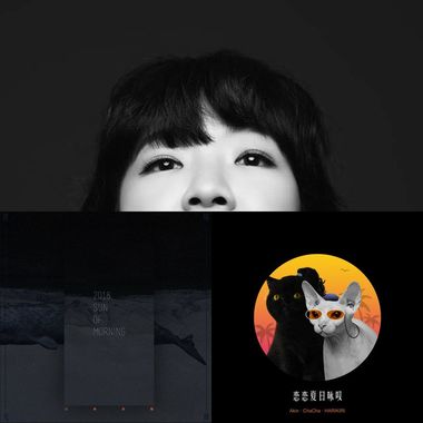 惦