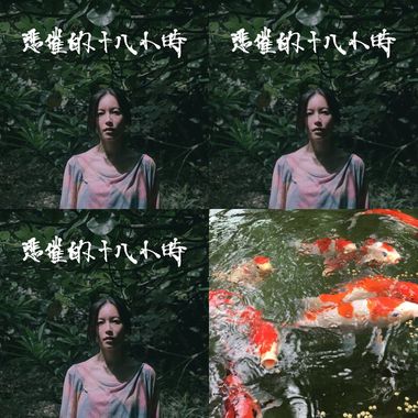 扶土成墙 vol.14