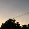今天特别喜欢的