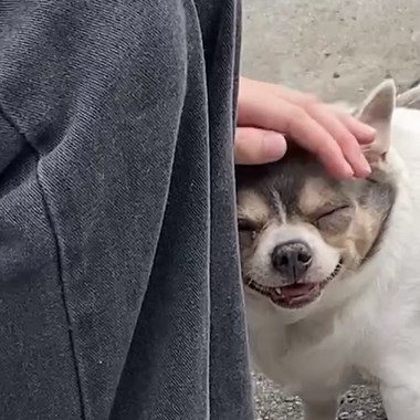 苏湖