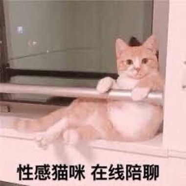 喵
