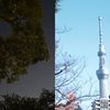 好听的歌曲