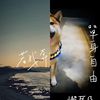 懒耳朵Lazy