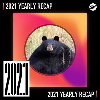 2021 个人年度精选之最