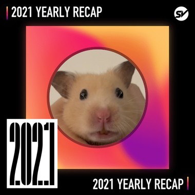2021 个人年度精选之最