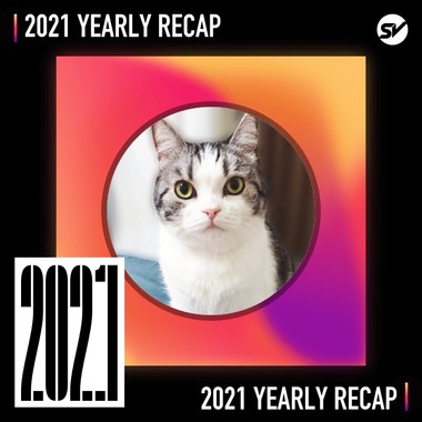 2021 个人年度精选之最