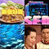 妙妙专属歌单