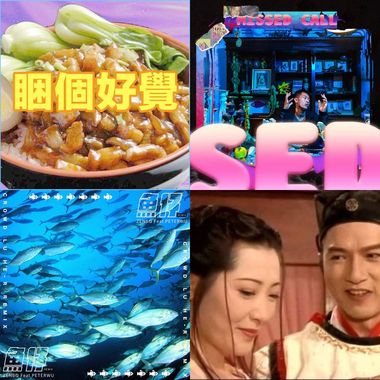 妙妙专属歌单