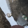 金石