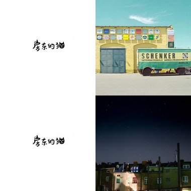房东的猫