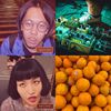 逃走鲍伯