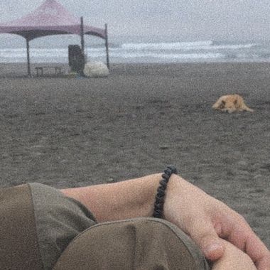 未来歌王
