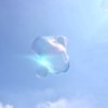 hi圆仔