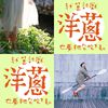 YoYi的KuYi