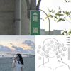 滥情滥歌
