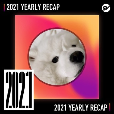 2021 个人年度精选之最