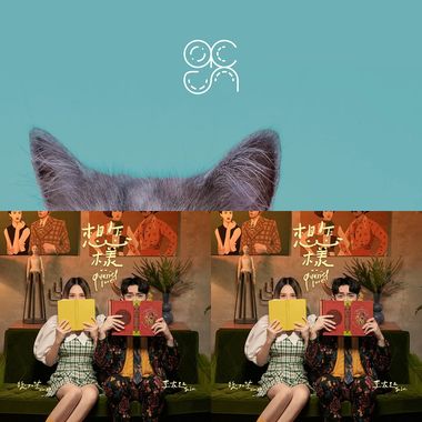 魏如宣
