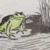 蛙