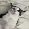 ?