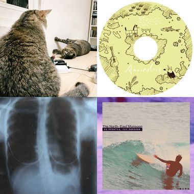 Lazy and jazz