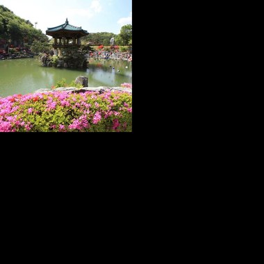 诗歌