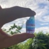 宝藏歌曲?
