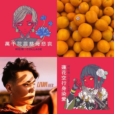 我的歌单 1