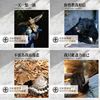 小赖的歌