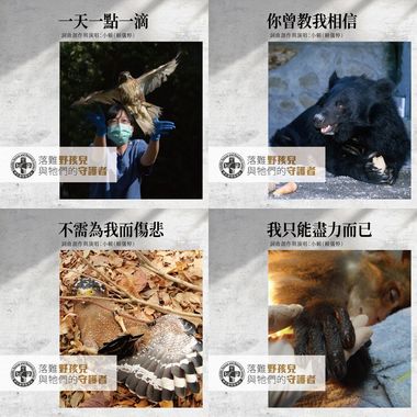 小赖的歌