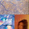 漾的爱