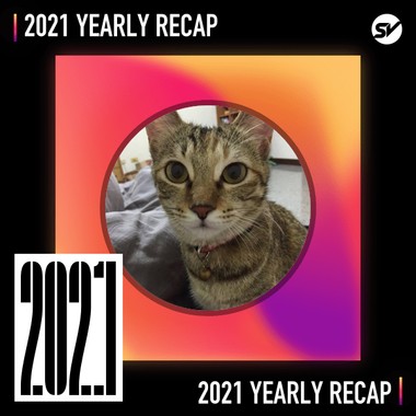 2021 个人年度精选之最
