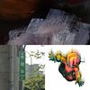 喜欢