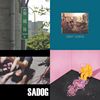 Spotify没有的