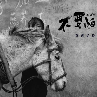 我不帅