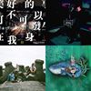 傻子与白痴