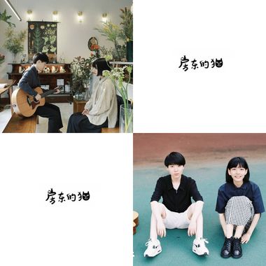 房东的猫