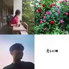 什么时候都能听